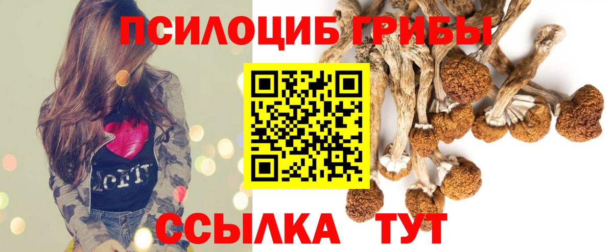 Галлюциногенные грибы прущие грибы Россошь